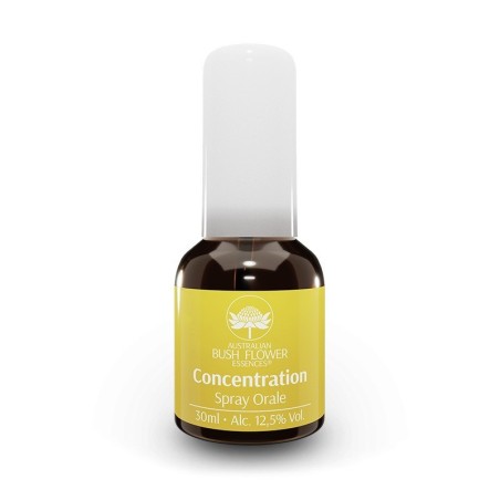Fiori AUSTRALIANI BUSH FLOWER Concentration Spray Orale 30 ml per la memoria e miglior Concentrazione