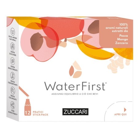 Bevanda aromatizzata Pesca, Mango, Zenzero 12 Stick-WaterFirst