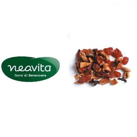 Infusi di Frutta BIO 20 filtri-Neavita