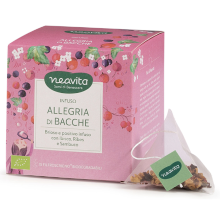 Tisana Filtroscrigno Allegria di Bacche-Neavita